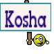 Kosha