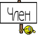 Член