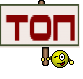 топ