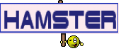 hamster