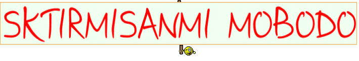 SKTIRMISANMI MOBODO