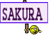 SAKURA 