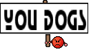 you dogs