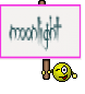 moonlight 