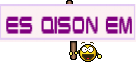 ES QISON EM