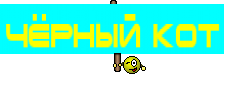 Чёрный кот