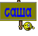 саша