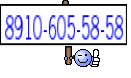 8910-605-58-58