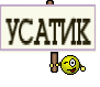 УСАТИК