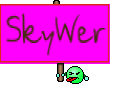 SkyWer