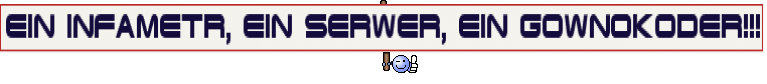 EIN INFAMETR, EIN SERWER, EIN GOWNOKODER!!!