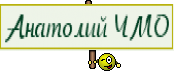 Анатолий ЧМО