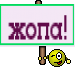 жопа!
