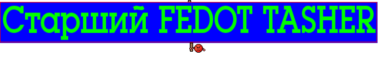 Старший FEDOT TASHER