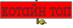 котайн топ