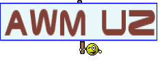 AWM UZ