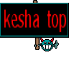 kesha top