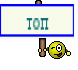 топ