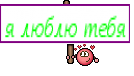 я люблю тебя