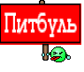 Питбуль