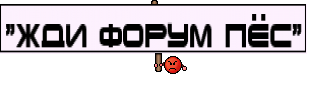 "Жди форум пёс"