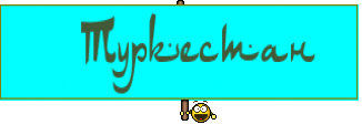   Туркестан 