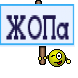 ЖОПа