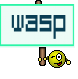 wasp
