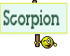 Scorpion 