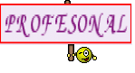 PROFESONAL