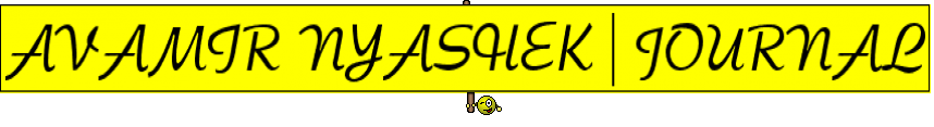 AVAMIR NYASHEK | JOURNAL