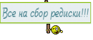 Все на сбор редиски!!!