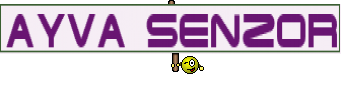 AYVA SENZOR