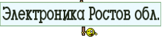 Электроника Ростов обл.