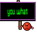 you what