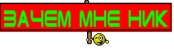 ЗАЧЕМ МНЕ НИК