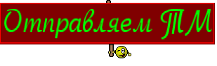Отправляем ТМ