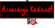 Александр Котиков