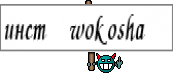 инст wokosha 