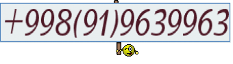 +998(91)9639963