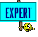 Expert