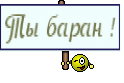 Ты баран !