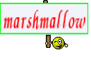 marshmallow