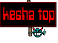 kesha top