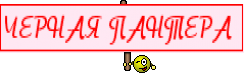 ЧЕРНАЯ ПАНТЕРА 