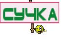 Сучка