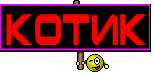 Котик