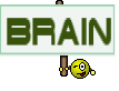 Brain