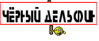 ЧёРнЫй ДеЛьФиН