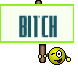 bitch